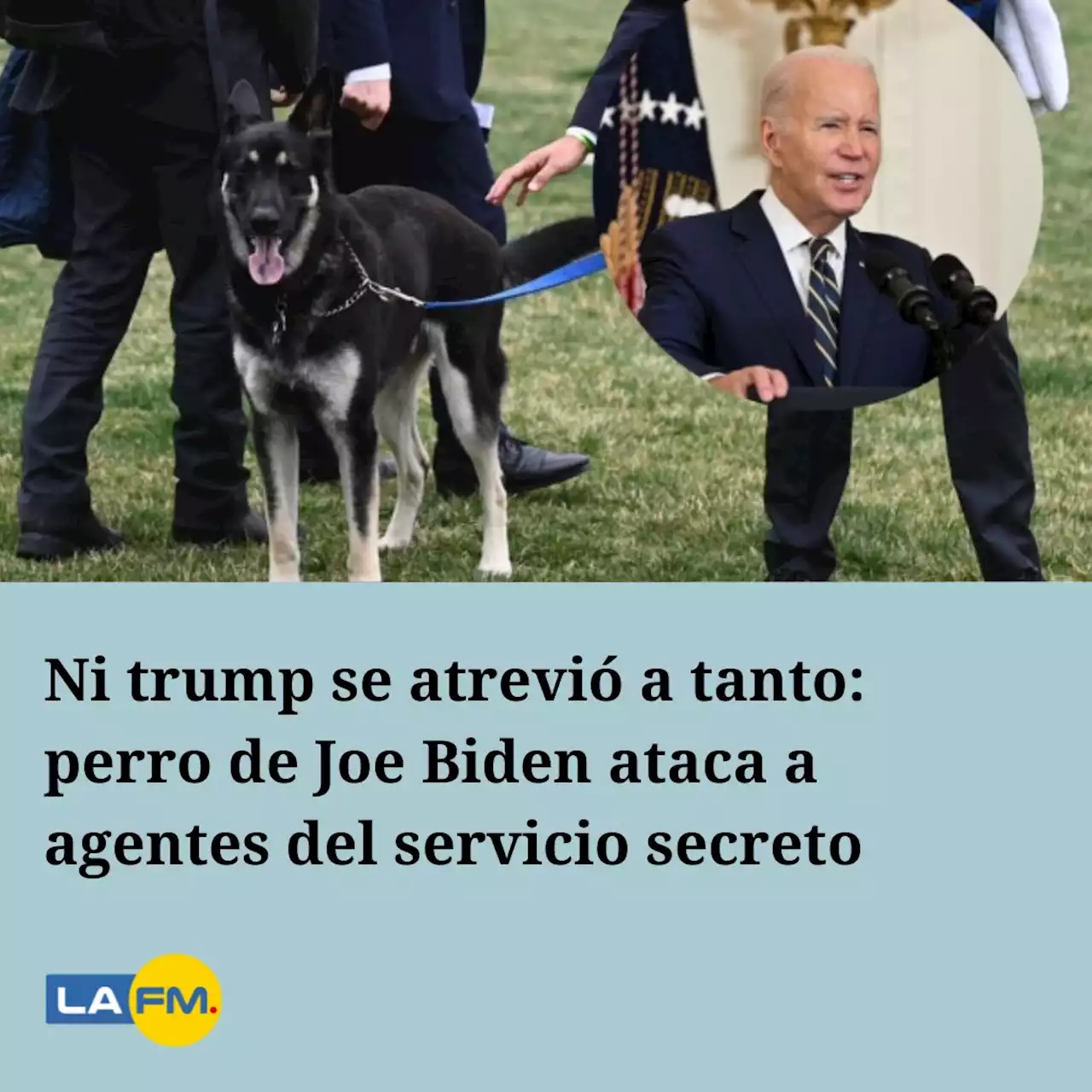 Ni trump se atrevió a tanto: perro de Joe Biden ataca a agentes del servicio secreto