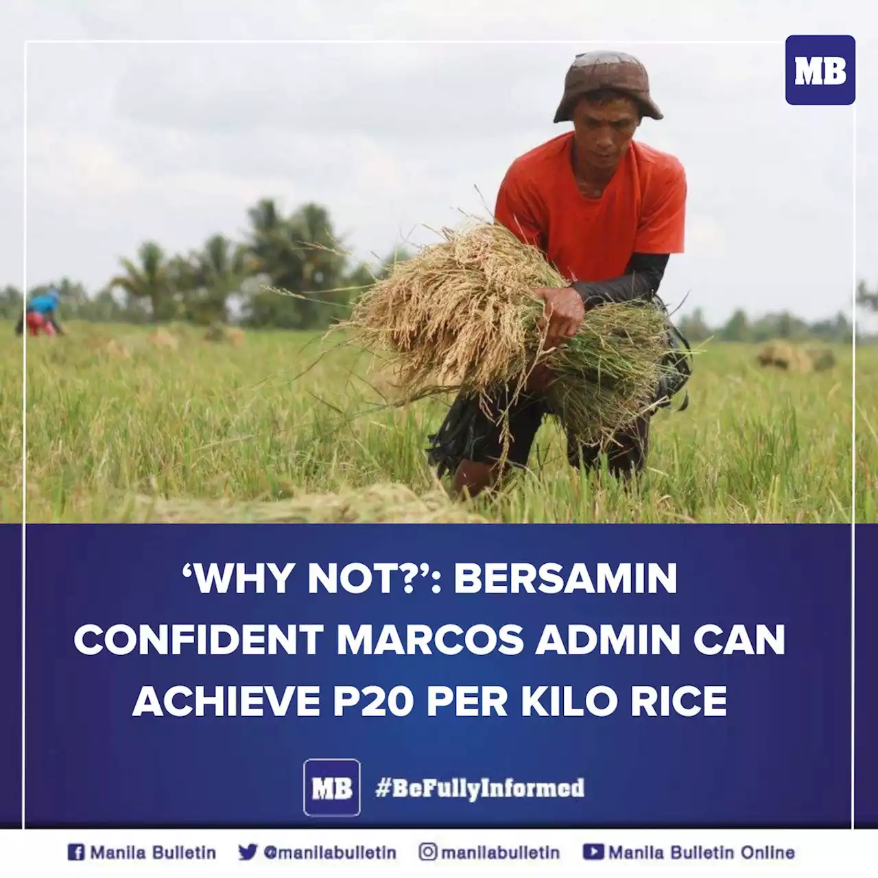 ‘Why not?’: Bersamin confident Marcos admin can achieve P20 per kilo rice