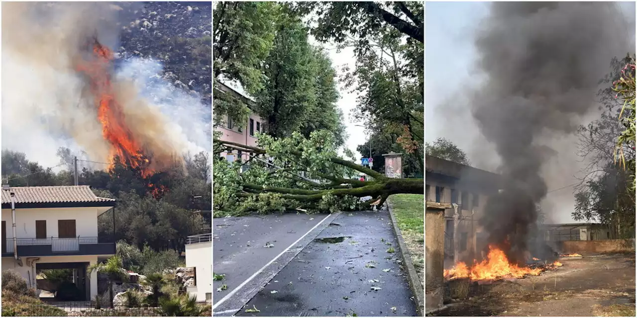 Incendi Sicilia, sindaco di Palermo: rientrati a casa quasi tutti gli sfollati