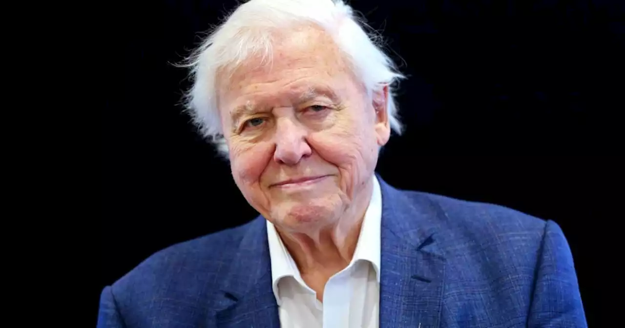 Sir David Attenborough 'on great form' as he nears 100 years old