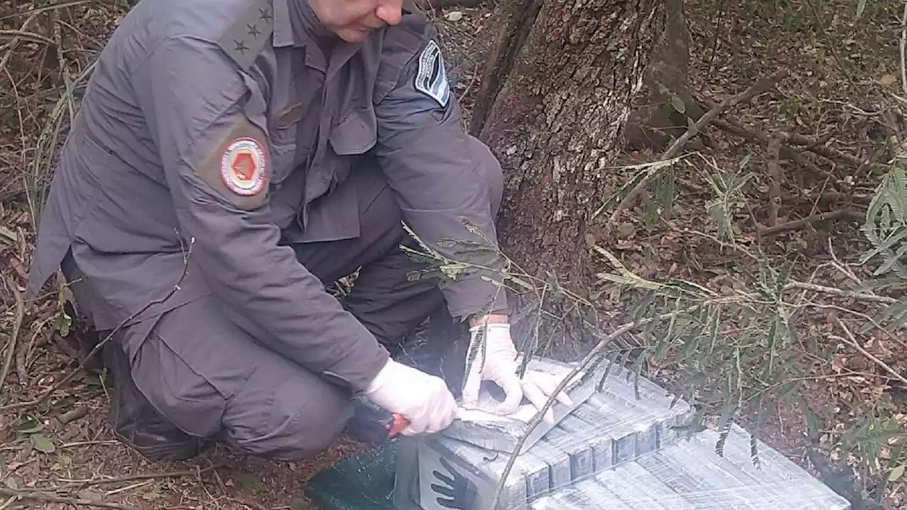 Chaco: hallaron otro paquete con 32 kilos de cocaína a metros de donde cayó la avioneta