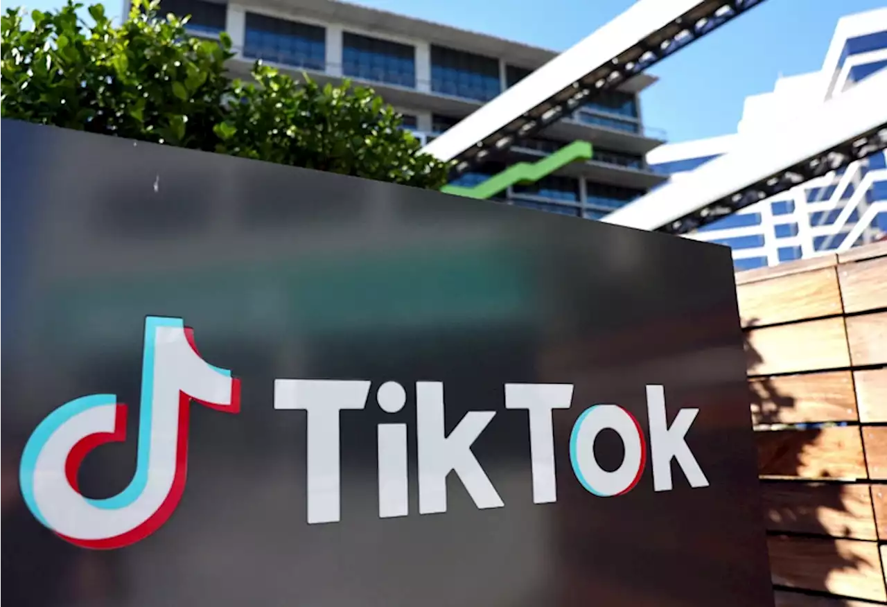 TikTok bares new text format to rival Musk’s Twitter app