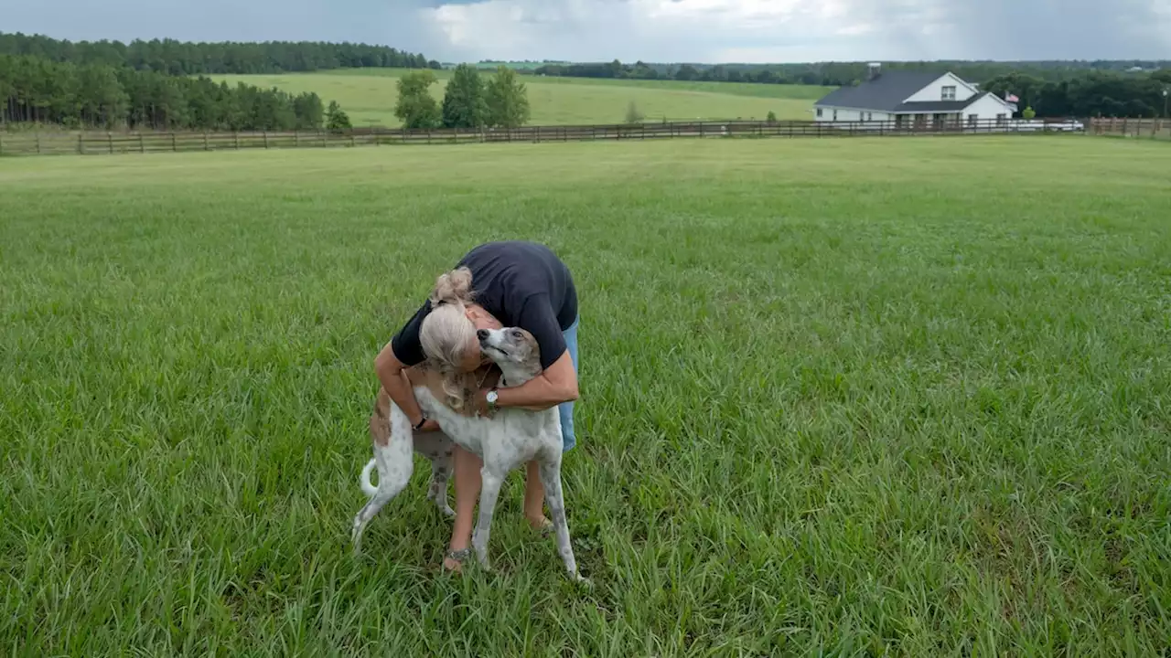 Inside the growing U.S. movement to breed healthier, friendlier dogs