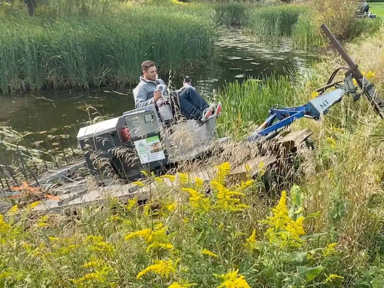 Pondscaping and pond care