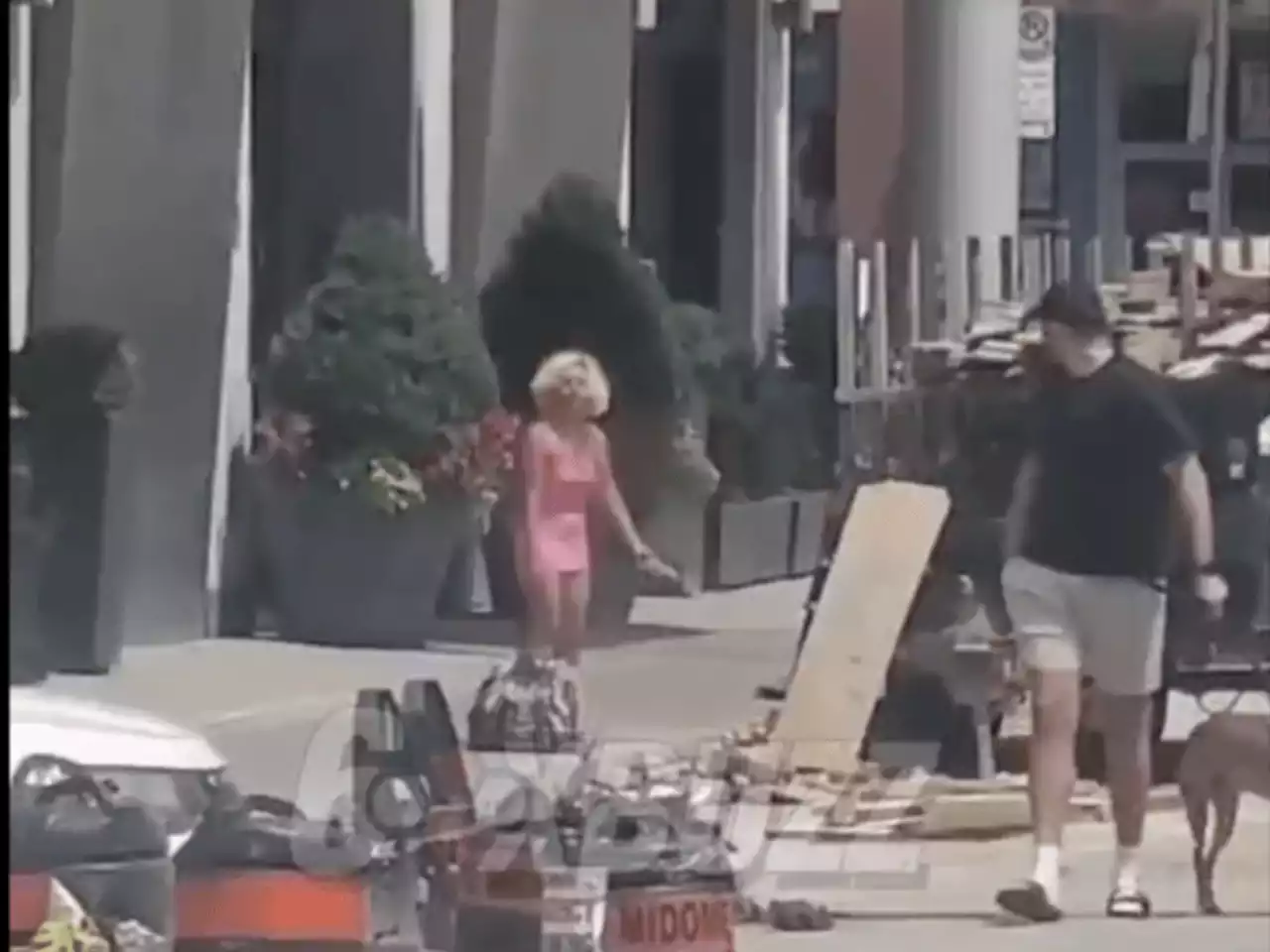 Video shows Toronto 'Barbie' attacking a man and his dog with a plank of wood