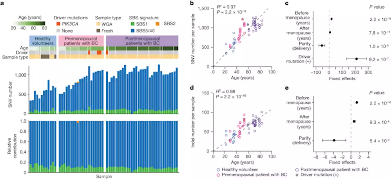 Evolutionary histories of breast cancer and related clones - Nature