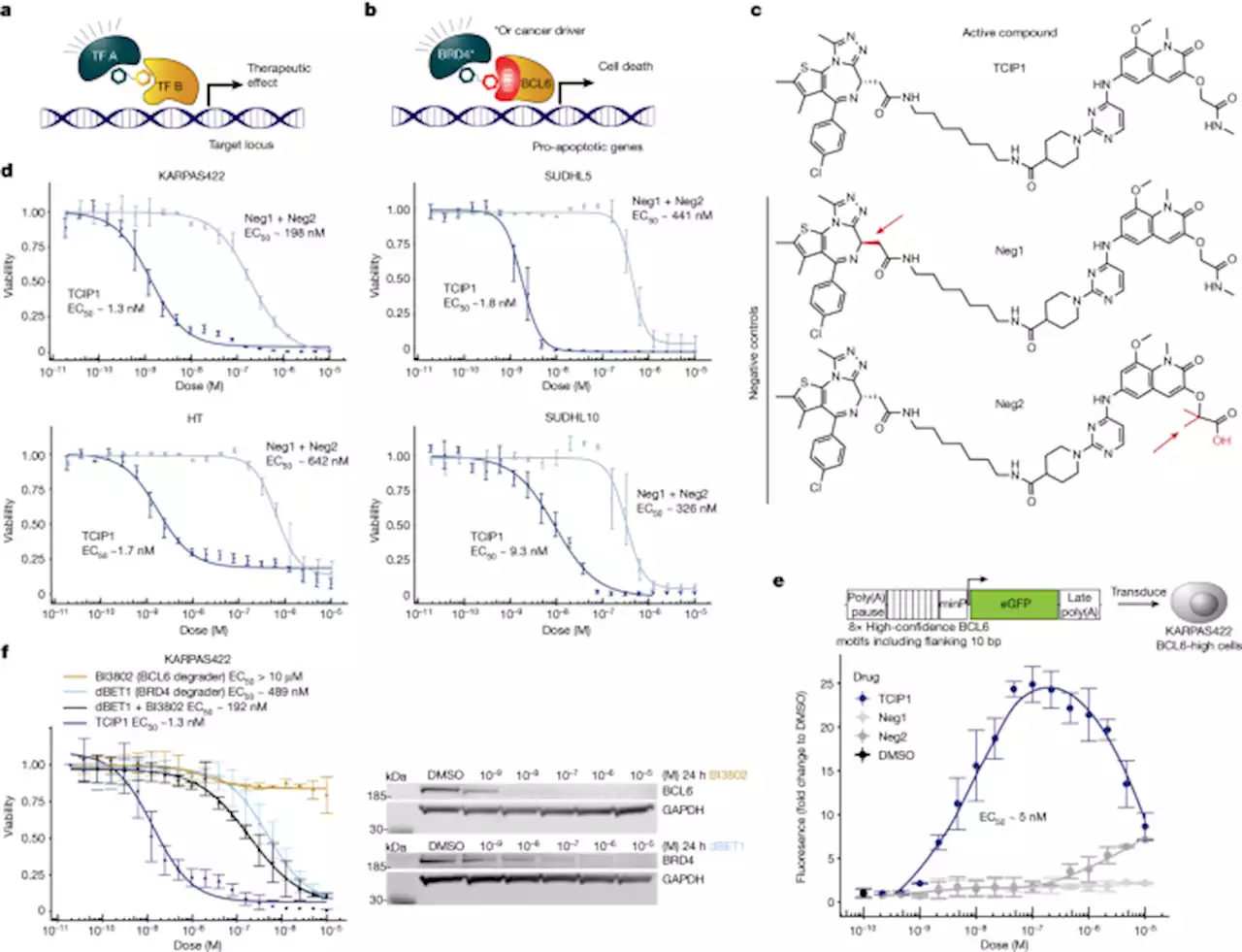 Rewiring cancer drivers to activate apoptosis - Nature