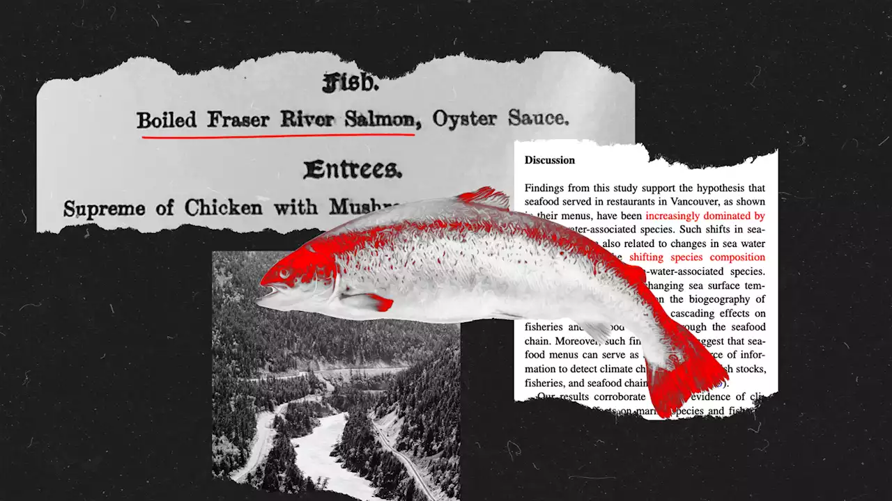 These historical menus say a lot about how climate change impacts what we eat