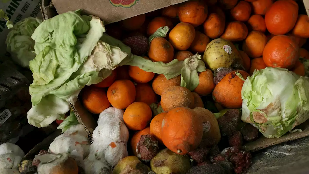 Offering discounts for expiring food could reduce food waste by 21%: UC San Diego report