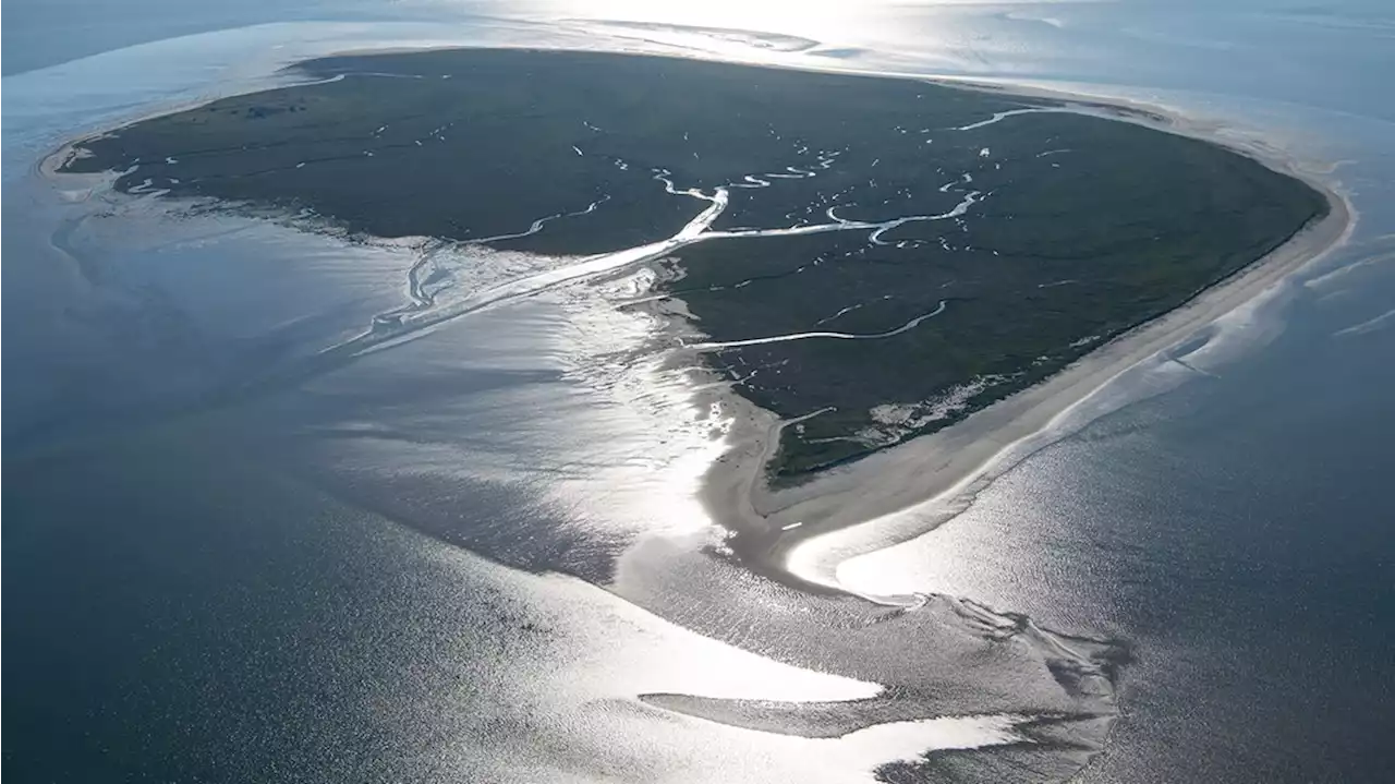 Altlasten in der Nordsee: Blindgänger werden vor Mellum gesprengt