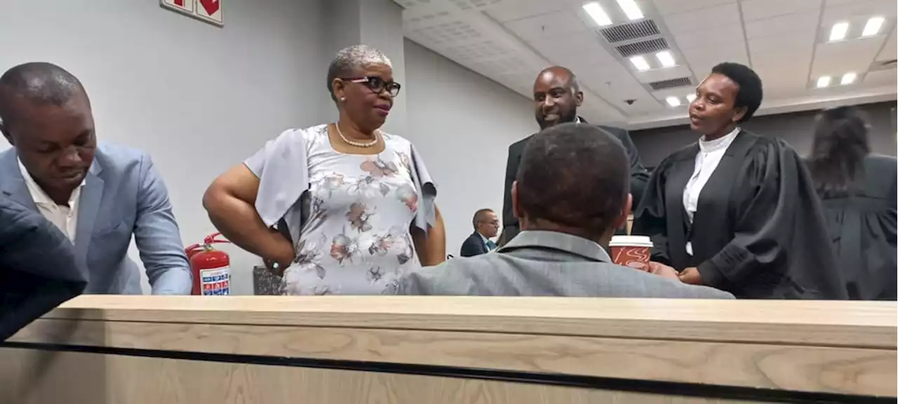 Zandile Gumede trial: Investigation launched after home of witness allegedly shot at | News24