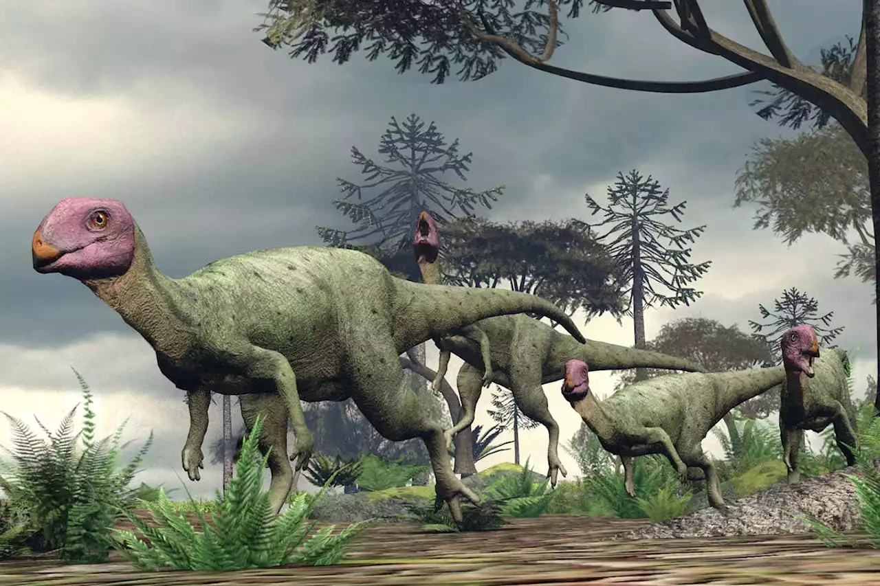 Newly discovered dinosaur roamed South-East Asia 200 million years ago