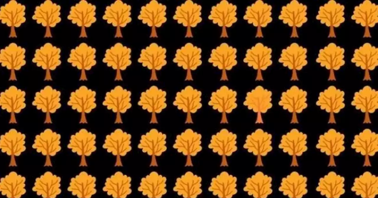 You need eagle eyes to spot the odd tree out in 10 seconds