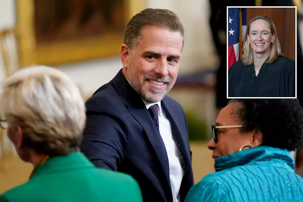 Hunter Biden lawyer accused of deception to seal bid to block plea deal