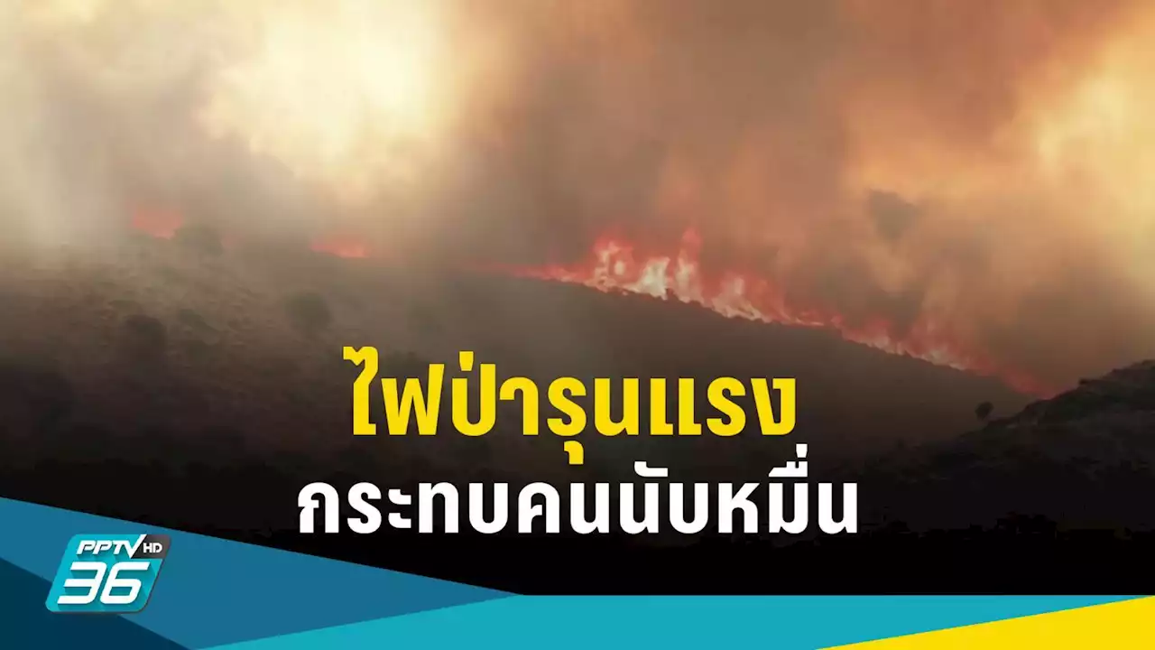 กรีซ - อิตาลีเผชิญไฟป่ารุนแรง กระทบประชาชนนับหมื่น