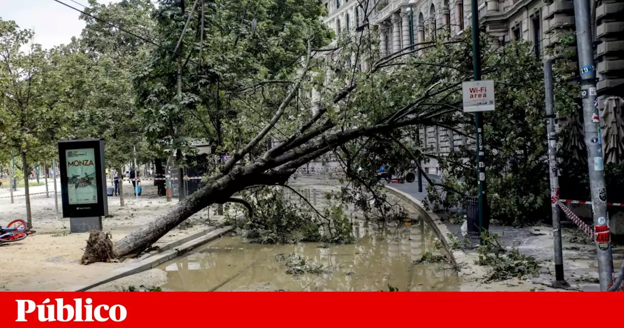 Pelo menos cinco mortos em tempestades no norte de Itália e incêndios no sul