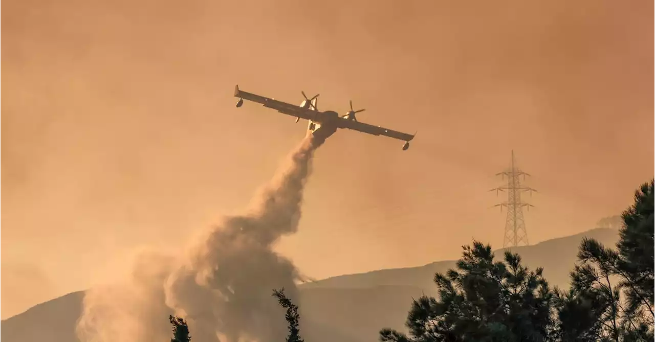 EU plans to buy new firefighting planes as climate crisis worsens