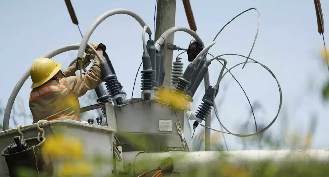 Ojo, estos sectores de Pereira tendrán suspensiones programadas de energía el miércoles, 26 de julio