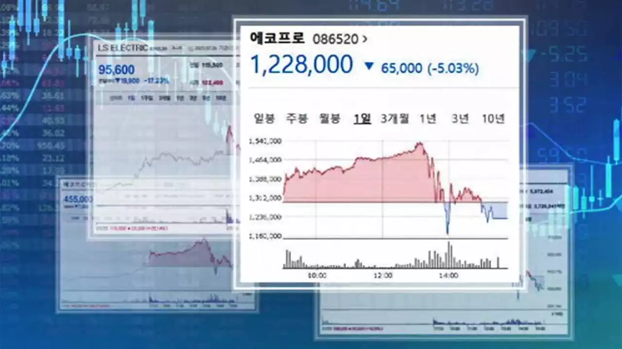 '이차전지 광풍' 두고 경고 잇따라…증시 대혼란