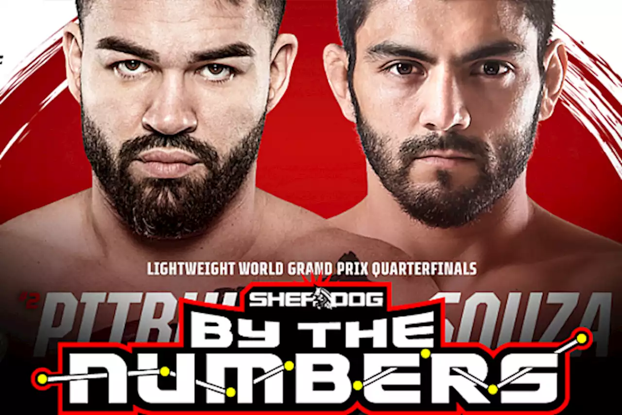 By The Numbers: Patricky Freire vs. Roberto Satoshi de Souza