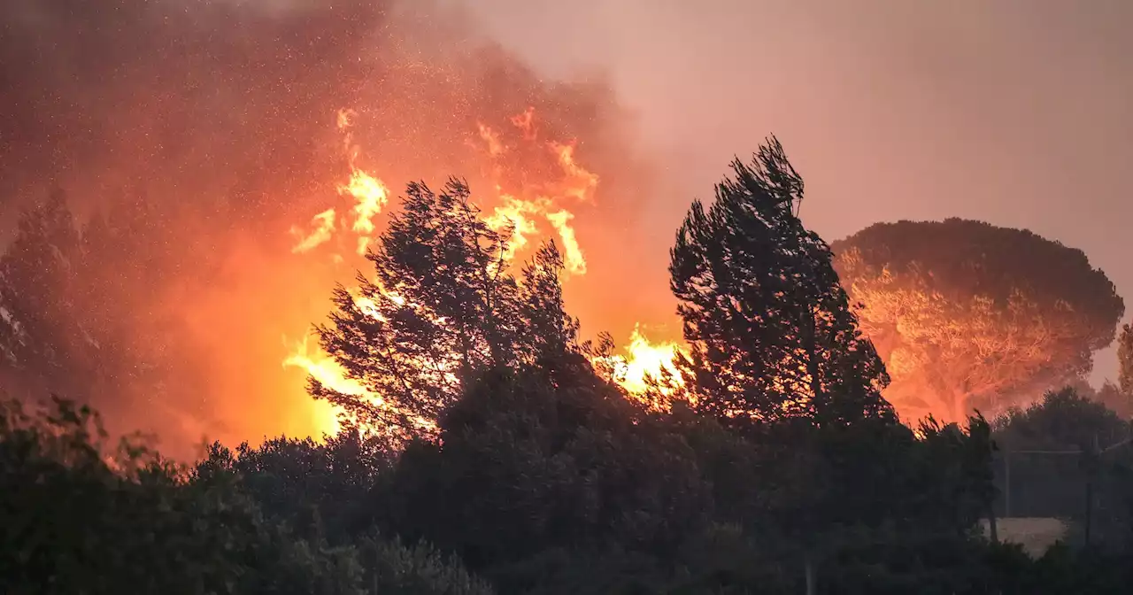 Dominado incêndio que deflagrou em Cascais na terça-feira