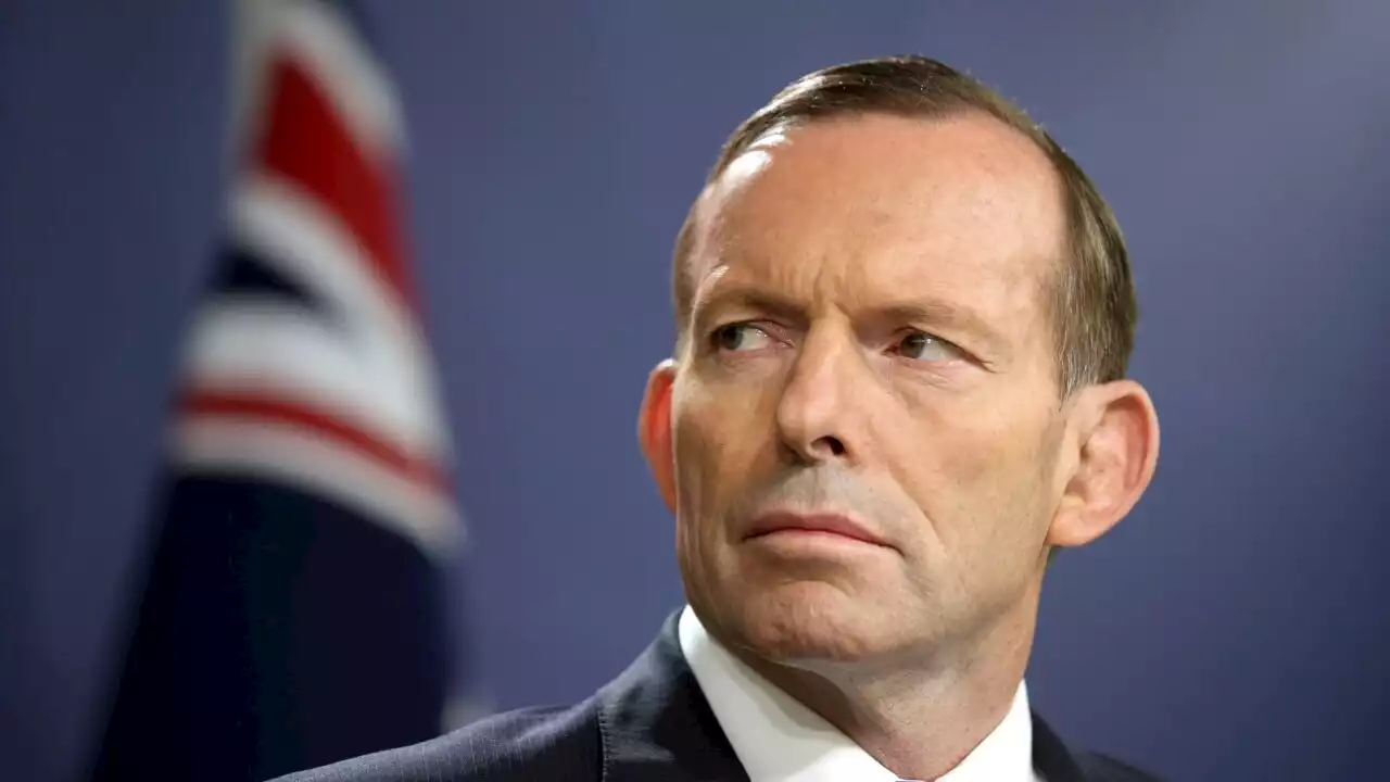 ‘People tend to go for the real thing’: Tony Abbott slams ‘Labor-lite’ politics