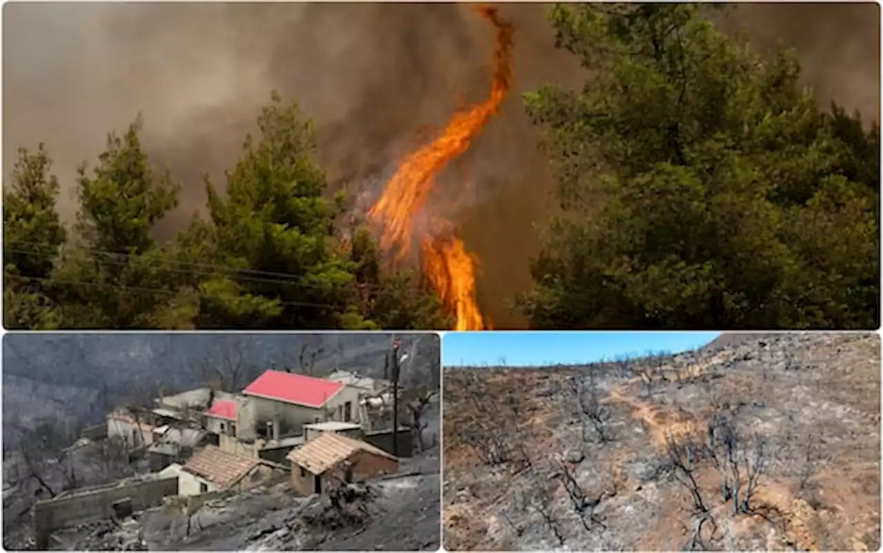 Caldo, dall’Europa all’Africa: le aree del Mediterraneo in fiamme