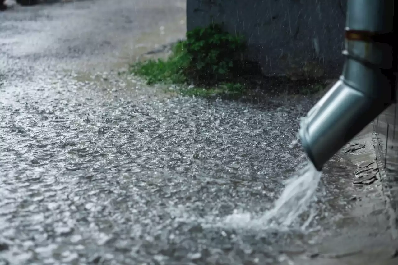 Afternoon thunderstorms likely to bring 50 mm of rain