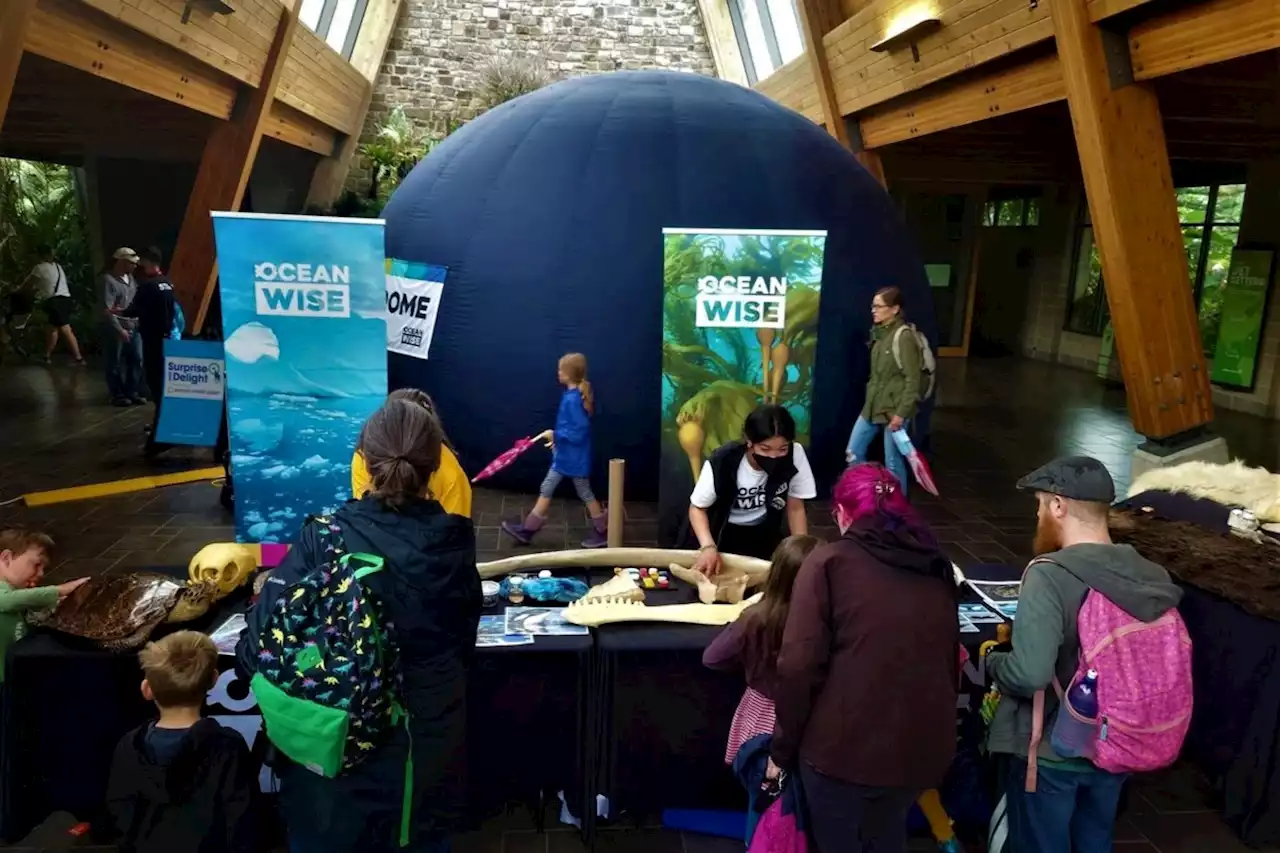 Check the Ocean Wise Sea Dome at Science North