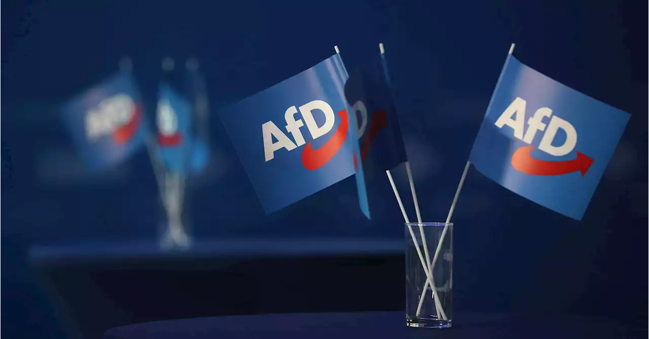 Wer bisher an der AfD-Spitze stand