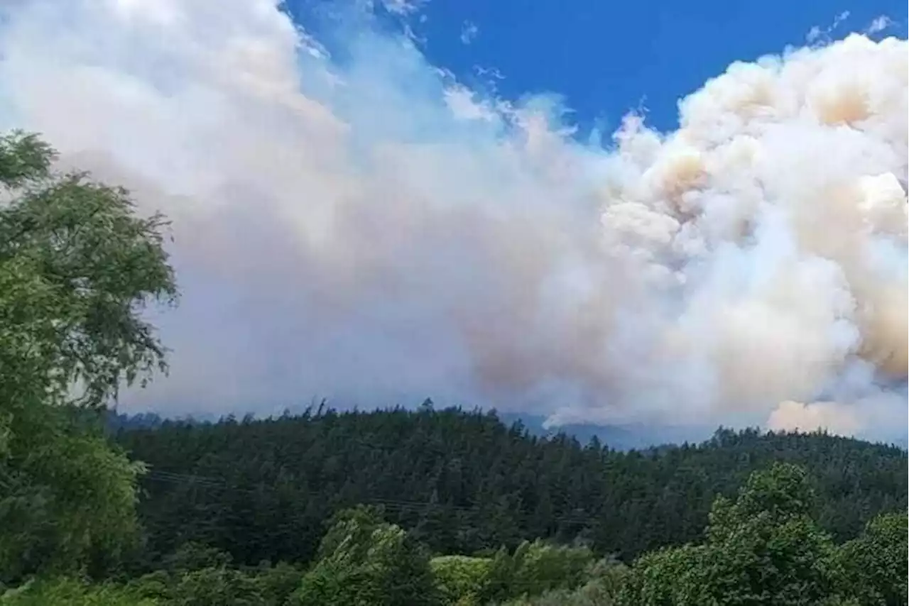 Cooler weather sees B.C. wildfire numbers dip, but drought still poses concern - Terrace Standard