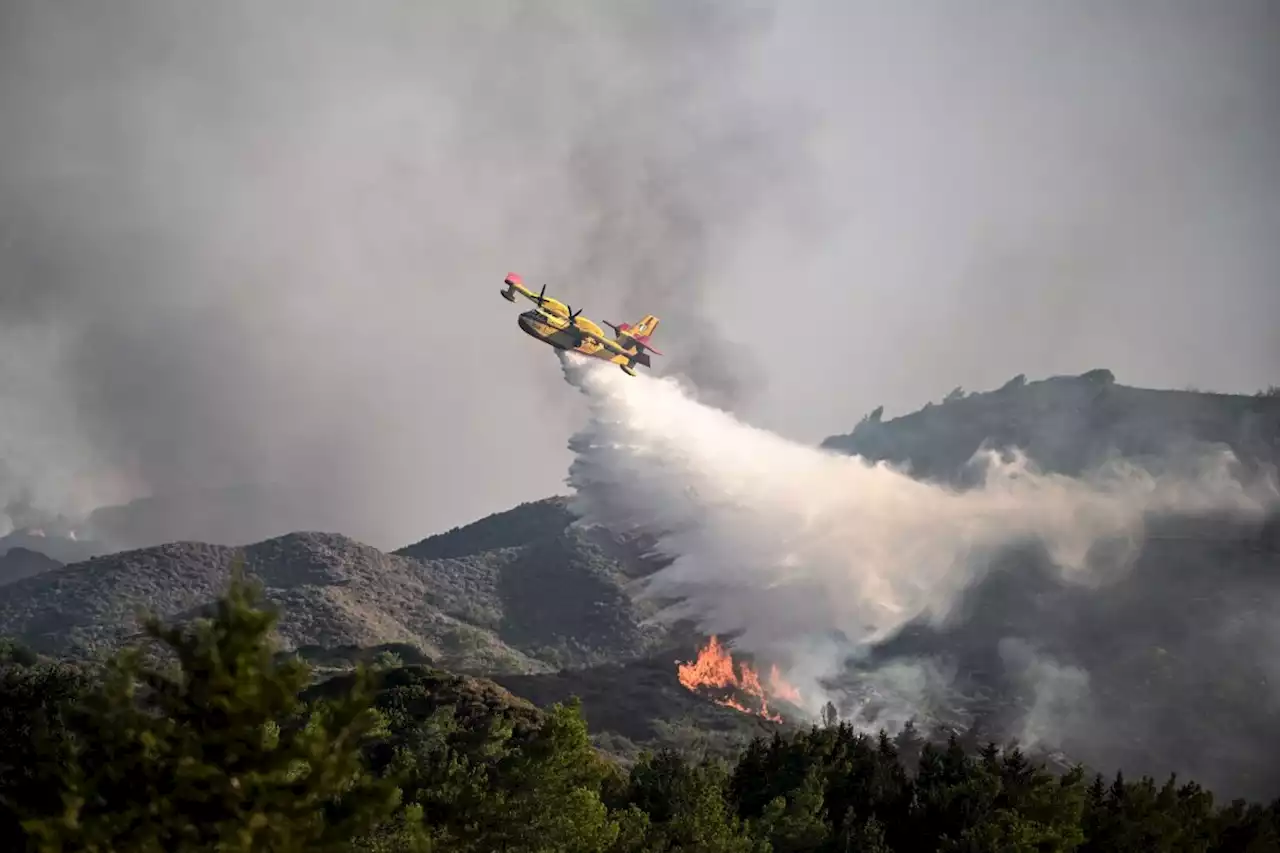 Senior Tory accuses Foreign Office of leaving 30,000 Britons in limbo over Rhodes wildfires