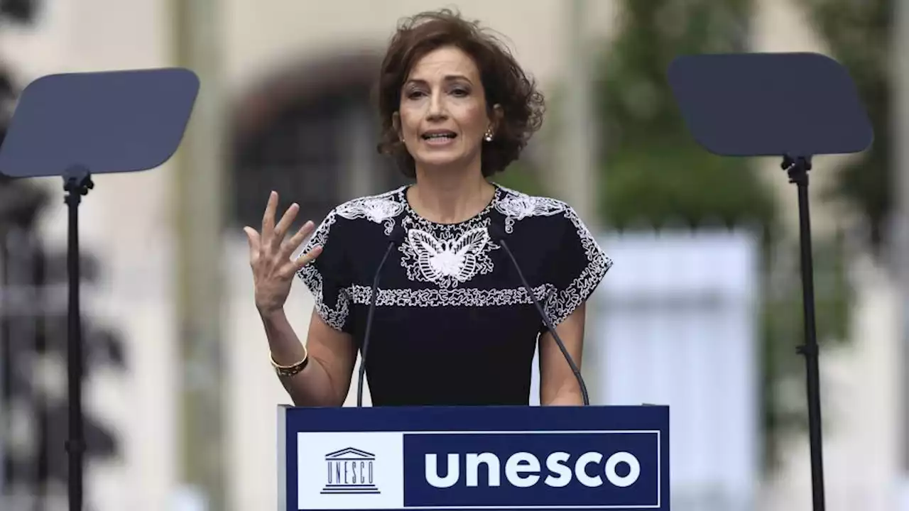 Unesco vil have smartphone-forbud i alle skoler | Version2