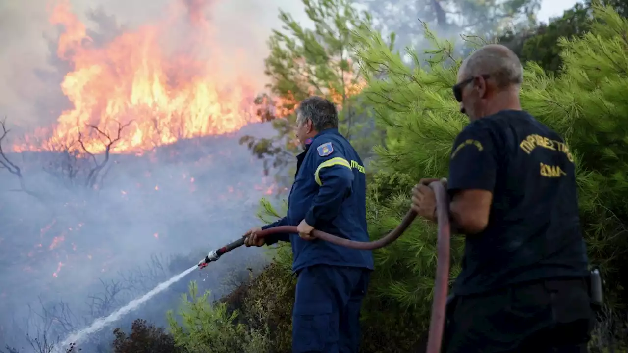 Rhodos Waldbrand: Spätfolgen von giftigem Rauch sind gravierend