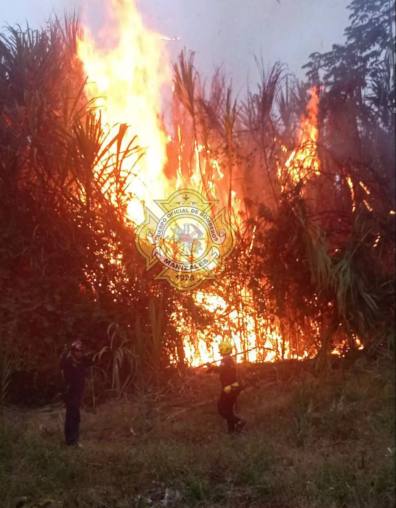 Incendios forestales se registraron en Manizales y el municipio Neira, norte de Caldas