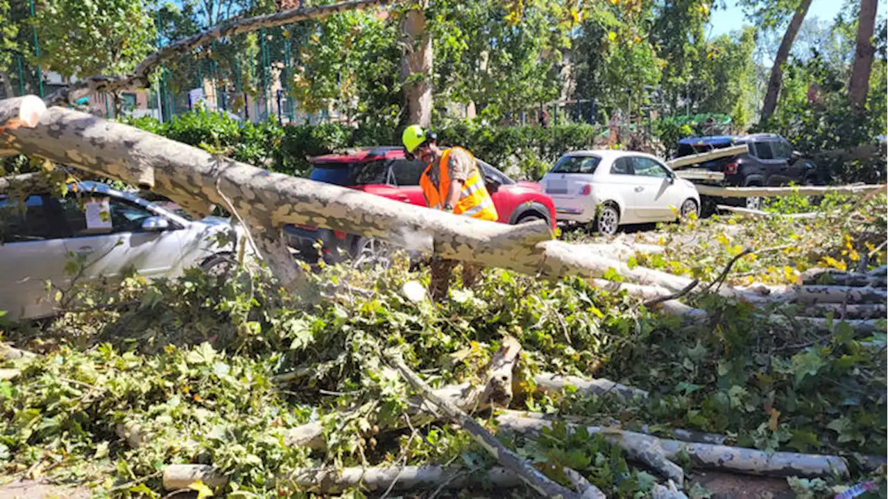 Maltempo: Sala, situazione normale spero entro fine agosto - Notizie - Ansa.it