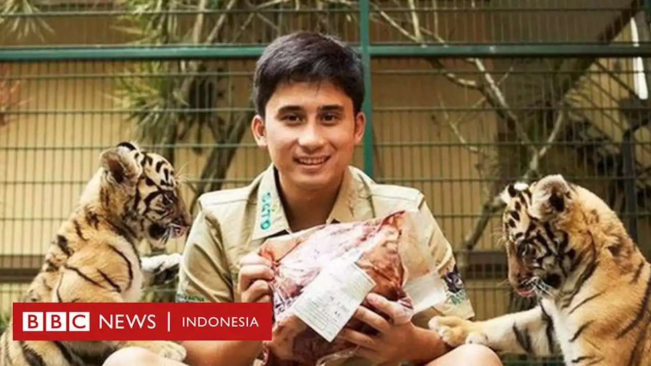 Alshad Ahmad dikecam, kematian anak harimau jadi kontroversi - BBC News Indonesia