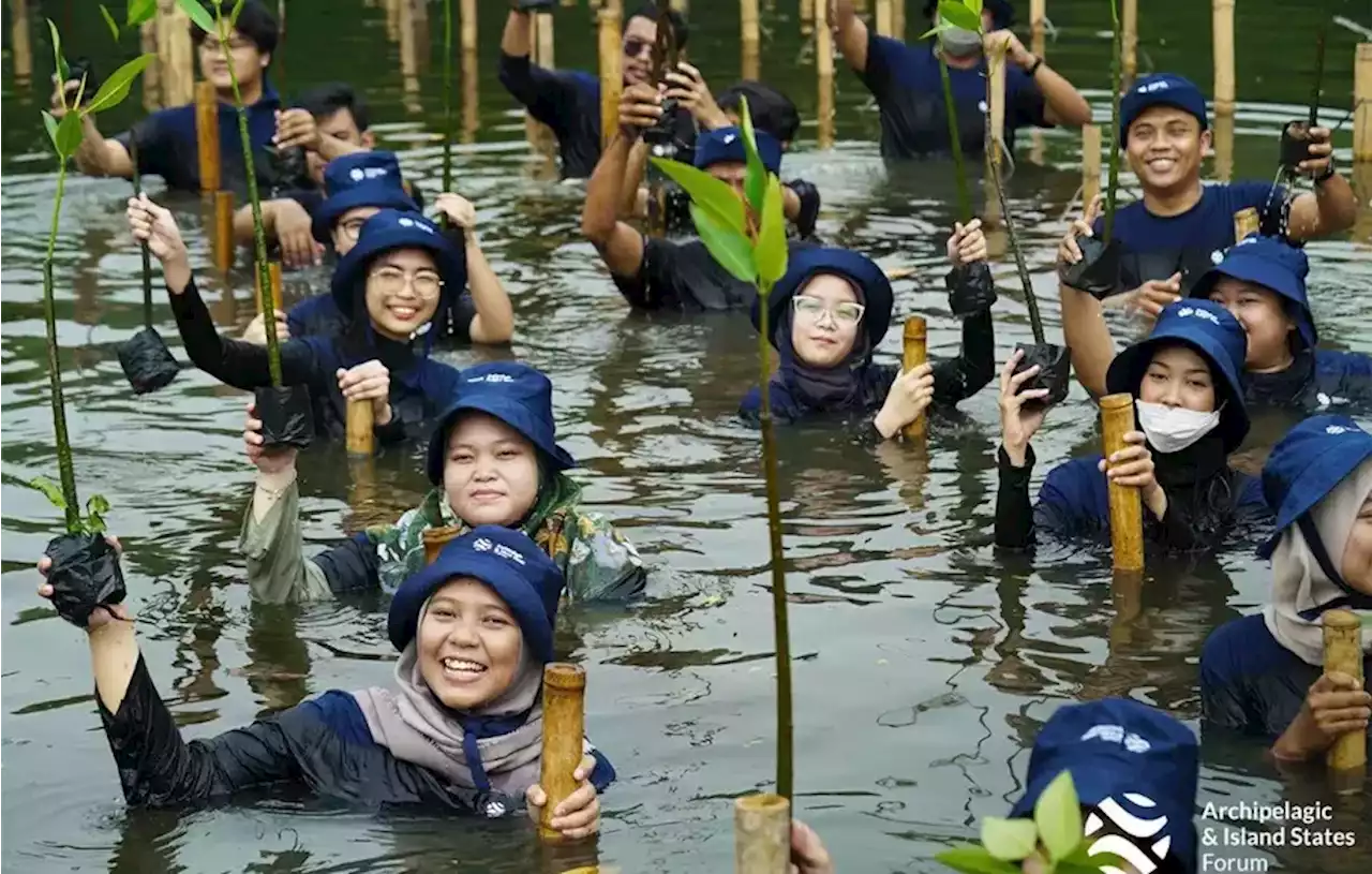 AIS Forum Jaga Keseimbangan Ekosistem Pesisir Lewat Restorasi Lahan Mangrove