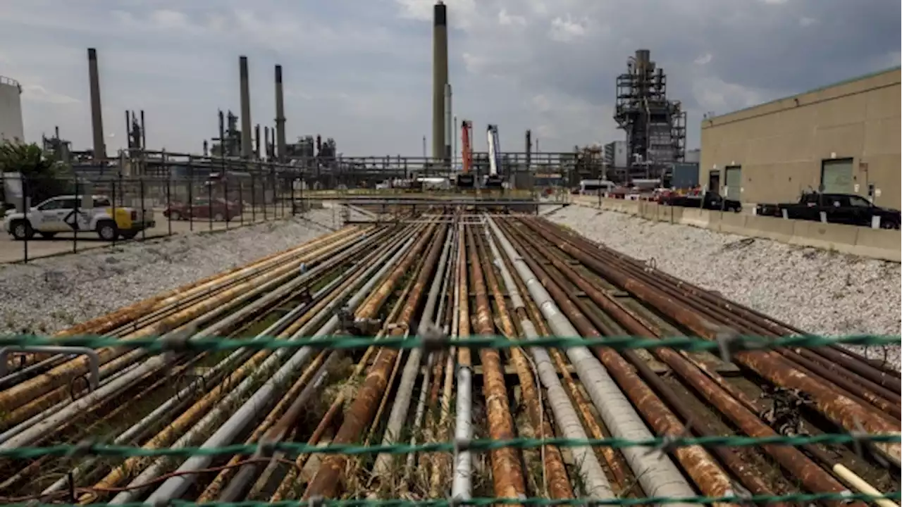 Imperial Oil spill hurts flock of geese near oil-sands site in Canada - BNN Bloomberg