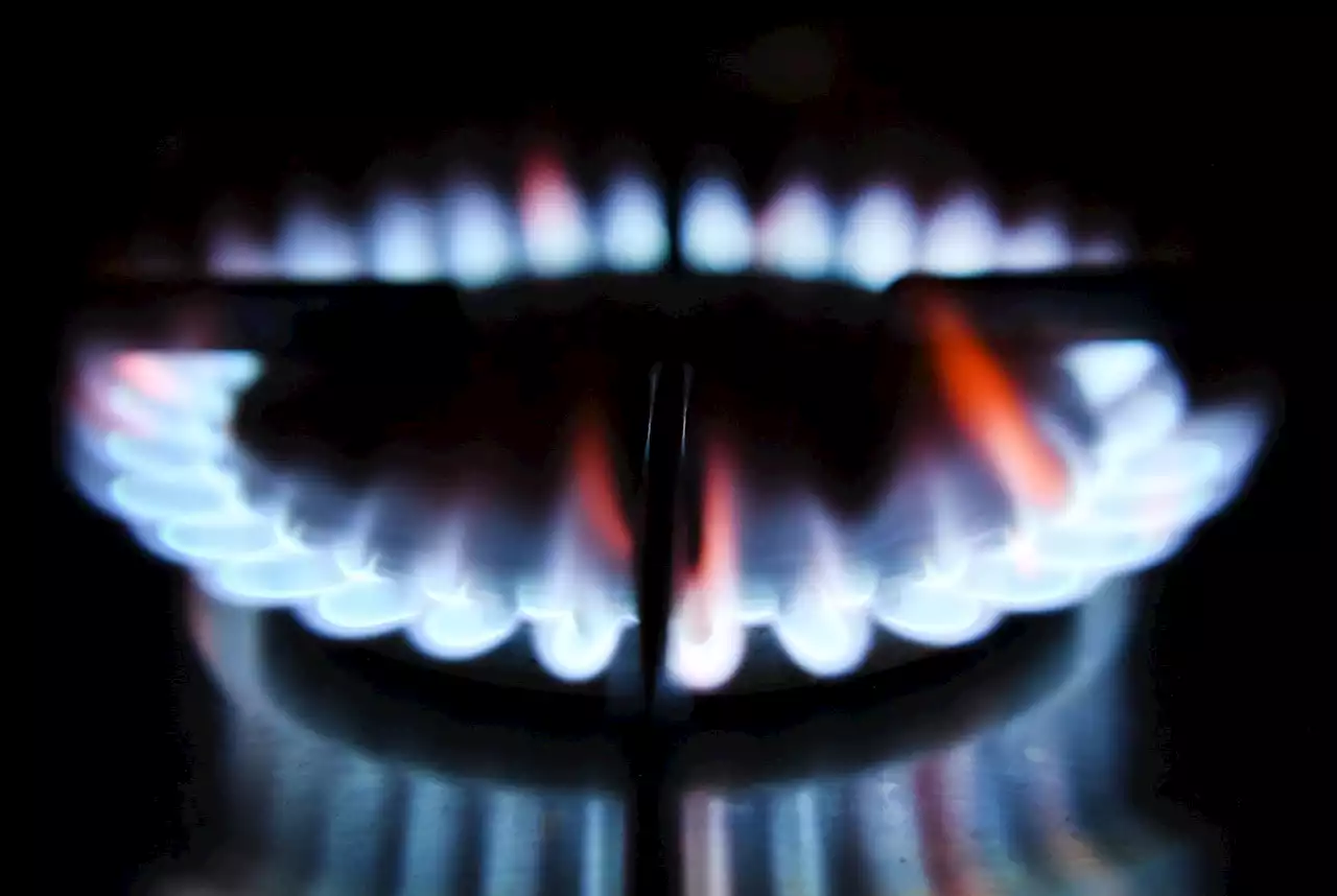 British Gas profits almost £1 billion for first half of 2023