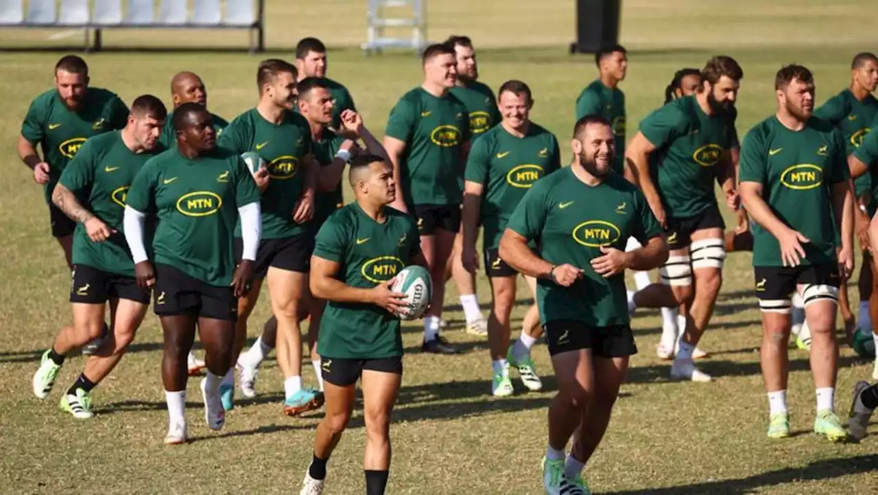 World Cup places in focus as Springboks host Argentina