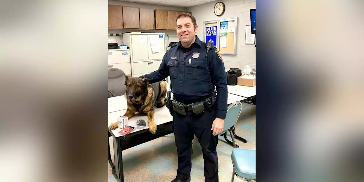 Bedford Heights K-9 Bosco to be placed with another officer, not returned to prior handler