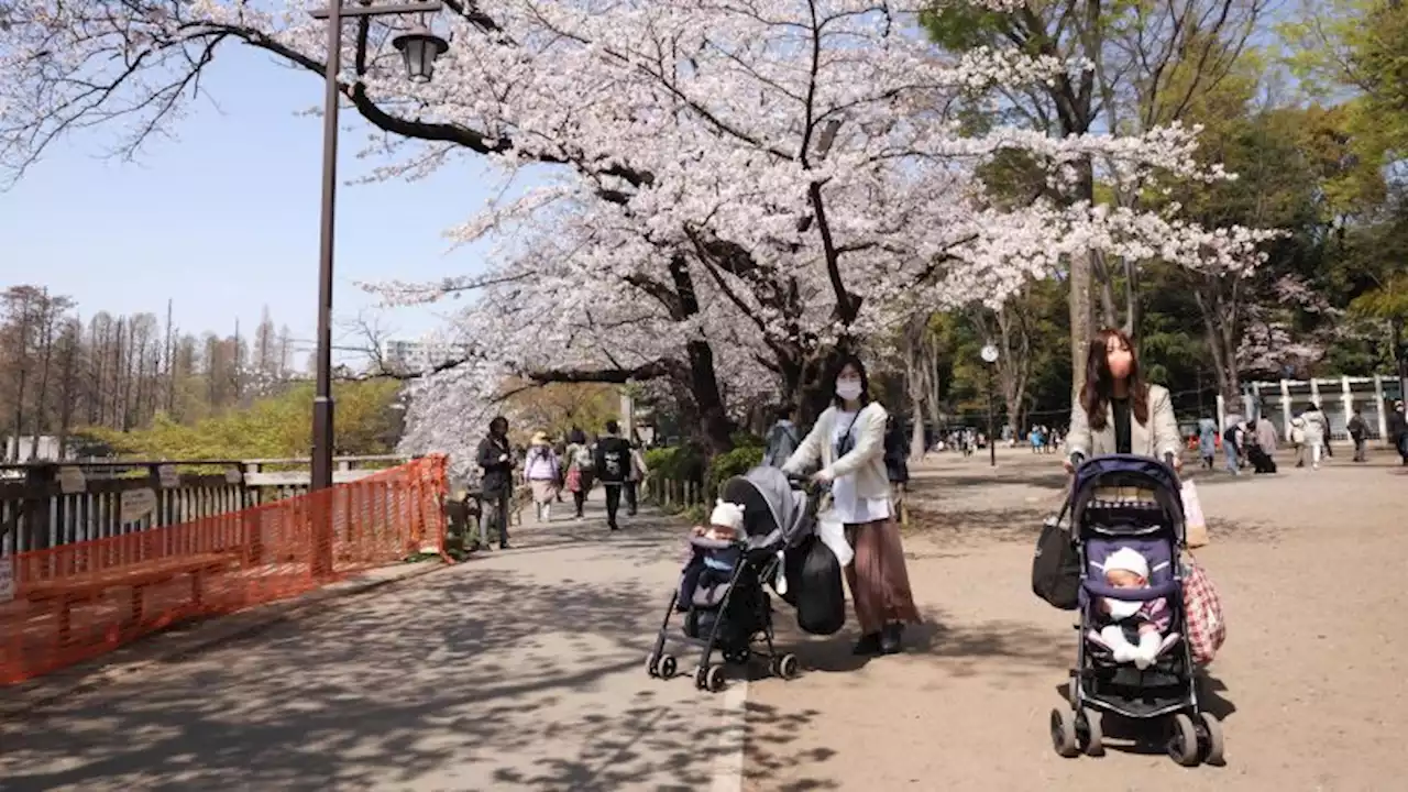 Japan's population fell by 800,000 last year as demographic crisis accelerates | CNN