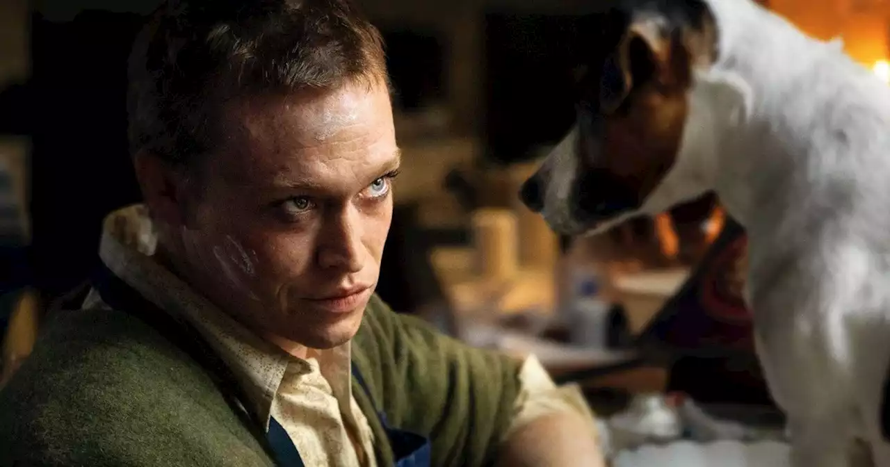 Dogman Poster: Caleb Landry Jones Finds Solace in His Furry Friends