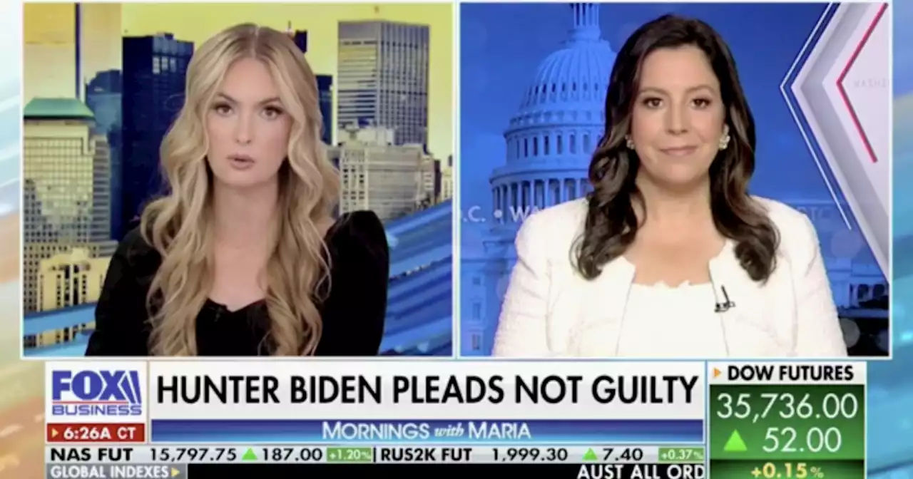 Kaylee McGhee White and Stefanik agree: ‘Hunter Biden story is a Joe Biden story’