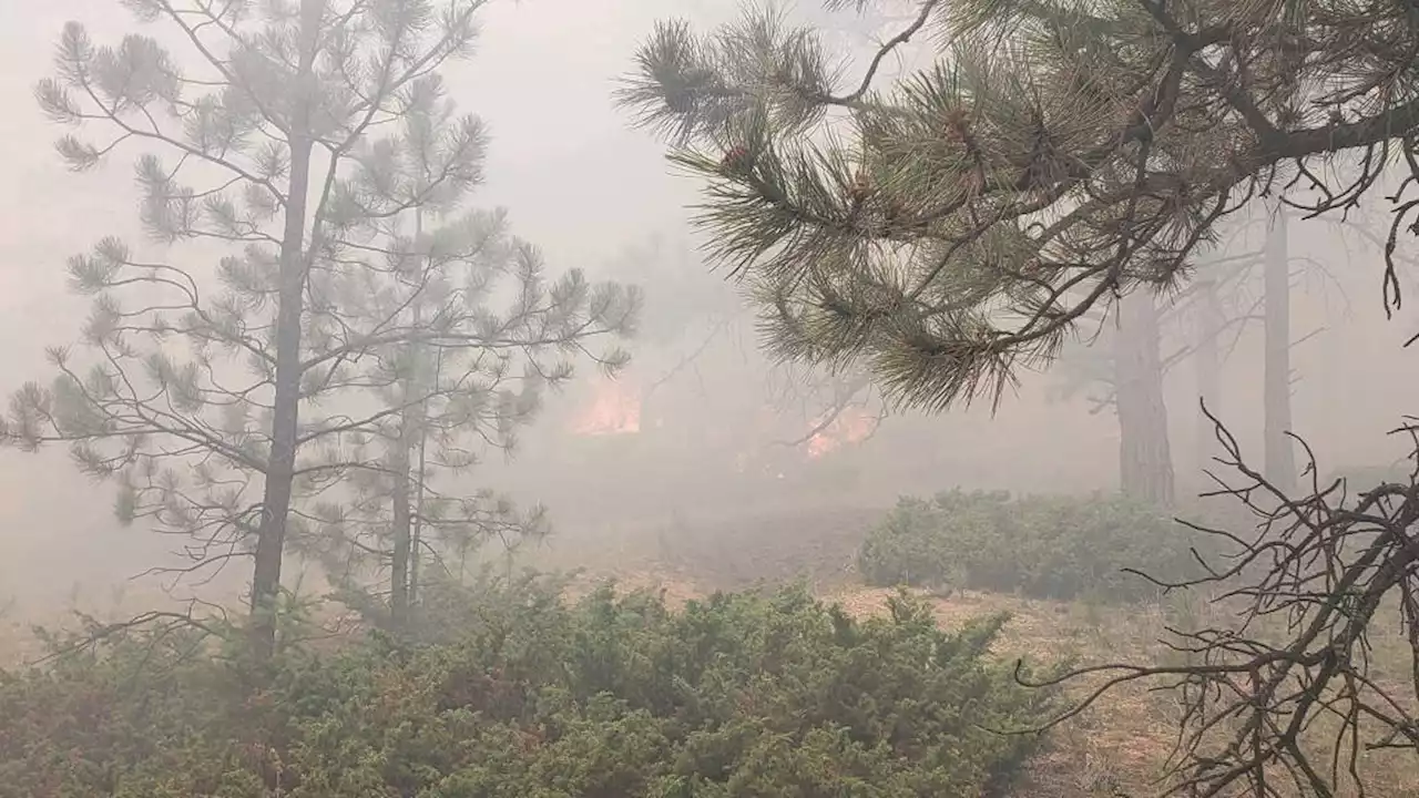 Lightning-sparked Lowline fire expands in forest northeast of Gunnison, forcing evacuations