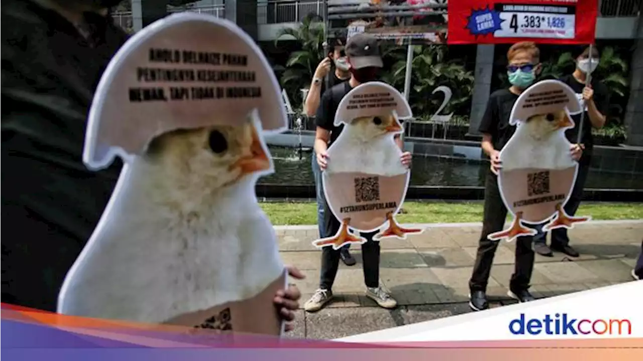 Aksi Menolak Peternakan Ayam Bebas Kandang Baterai