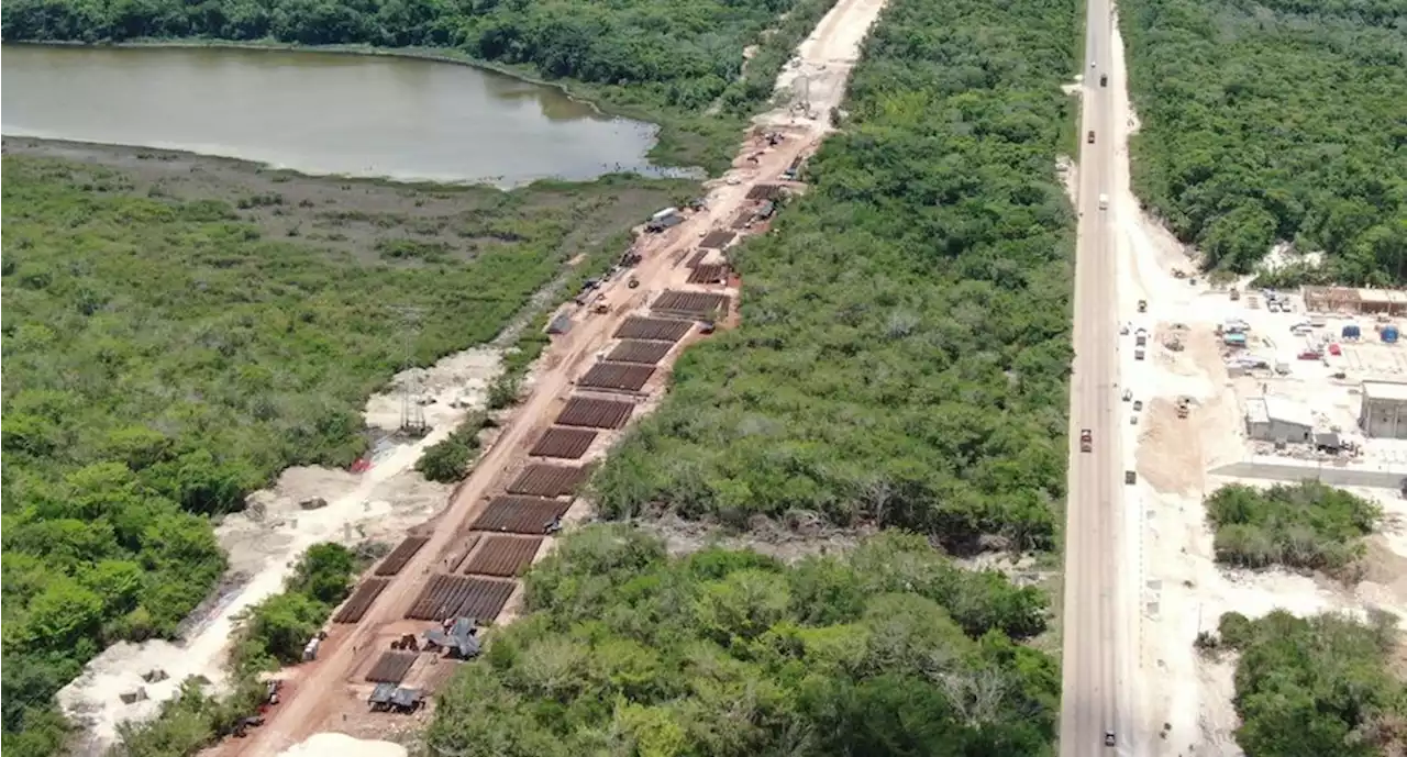 Tren Maya: Encuentran culpable de ecocidio y etnocidio al Estado Mexicano por megaproyecto