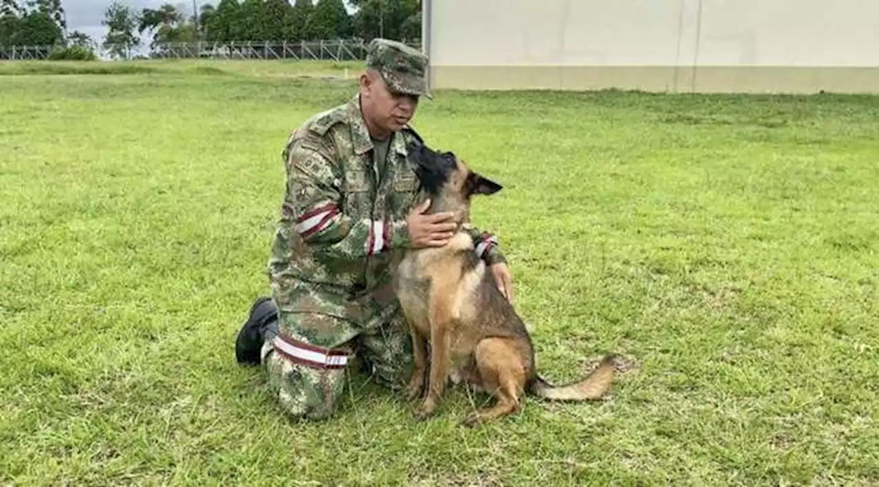 Adiós Wilson: guía del canino regresó de la selva tras culminar su búsqueda