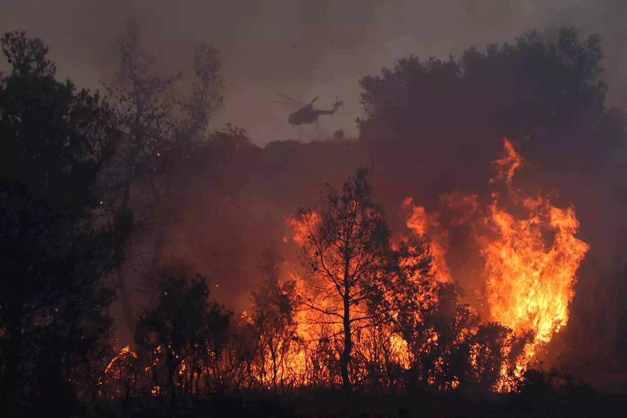 July 2023 ‘Virtually Certain’ To Be Hottest Month In Human History